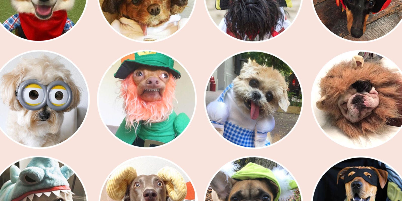 dog halloween costumes 2018 dog halloween costumes 2018